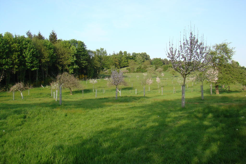 Gite De La Cour Bed & Breakfast Campandre-Valcongrain Room photo