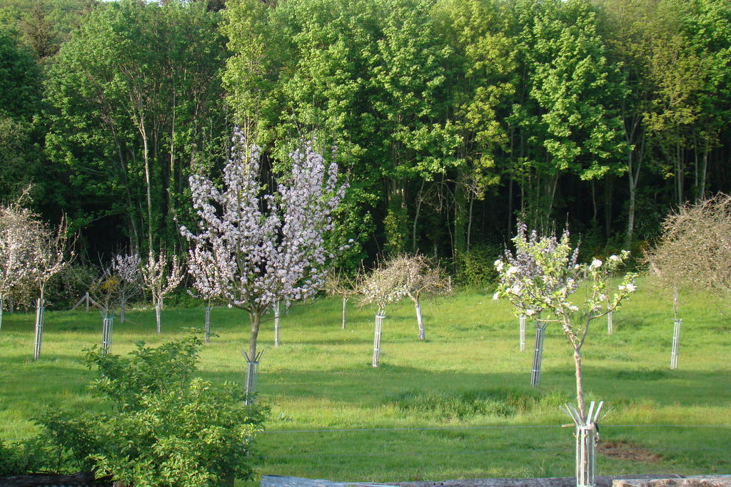 Gite De La Cour Bed & Breakfast Campandre-Valcongrain Room photo